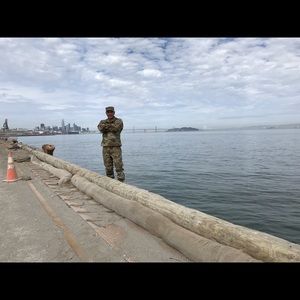 Meet your Posher, Stevo